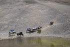 ladakh.zangla.brandy.nala.zanskar.39