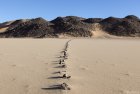 algerie.ajjer.tadrart.dune.djanet.2