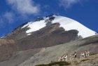 ladakh.tsarap.tso.moriri.indus.44