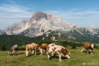 dolomites.alta.via.5