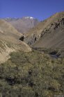 ladakh.rangdum.sarchu.zanskar.13