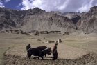 ladakh.rangdum.sarchu.zanskar.18