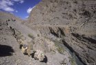 ladakh.rangdum.sarchu.zanskar.24