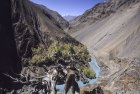 ladakh.rangdum.sarchu.zanskar.27