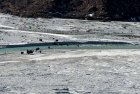 trek.langtang.gosainkung.nepal.22