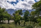 ladakh.leh.abricot.amande.2