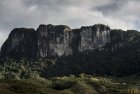 madagascar.corridor.forestier.trek.103