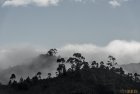 madagascar.corridor.forestier.trek.147