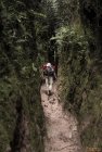 madagascar.corridor.forestier.trek.150