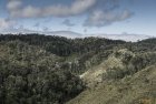 madagascar.corridor.forestier.trek.151