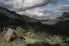 madagascar.corridor.forestier.trek.153