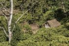 madagascar.corridor.forestier.trek.198