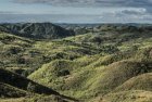 madagascar.corridor.forestier.trek.199