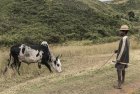 madagascar.corridor.forestier.trek.215