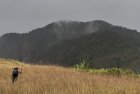 madagascar.corridor.forestier.trek.218