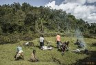 madagascar.corridor.forestier.trek.223