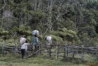 madagascar.corridor.forestier.trek.224