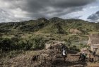 madagascar.corridor.forestier.trek.226