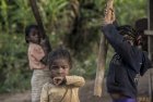 madagascar.corridor.forestier.trek.228