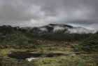 madagascar.corridor.forestier.trek.229