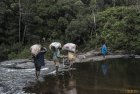 madagascar.corridor.forestier.trek.231