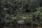 madagascar.corridor.forestier.trek.234