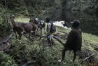 madagascar.corridor.forestier.trek.235