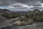 madagascar.corridor.forestier.trek.256