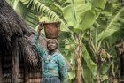 madagascar.corridor.forestier.trek.33