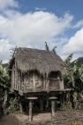 madagascar.corridor.forestier.trek.40