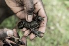 madagascar.corridor.forestier.trek.41