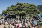 madagascar.corridor.forestier.trek.54