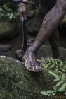 madagascar.corridor.forestier.trek.61