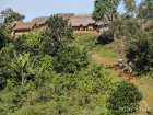 corridor.forestier.trek.madagasar.103