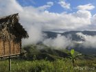 corridor.forestier.trek.madagasar.116