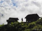 corridor.forestier.trek.madagasar.118