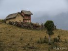 corridor.forestier.trek.madagasar.128