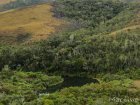 corridor.forestier.trek.madagasar.129