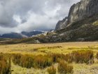 corridor.forestier.trek.madagasar.149