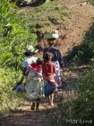 corridor.forestier.trek.madagasar.153