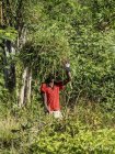 corridor.forestier.trek.madagasar.165