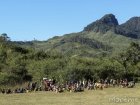 corridor.forestier.trek.madagasar.29