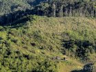 corridor.forestier.trek.madagasar.35