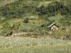 corridor.forestier.trek.madagasar.36