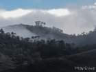 corridor.forestier.trek.madagasar.70