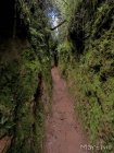 corridor.forestier.trek.madagasar.72