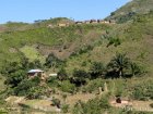 corridor.forestier.trek.madagasar.86