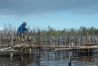 madagascar.cote.est.canal.pangalanes.16