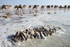 ethiopie.danakil.afar.sel.1