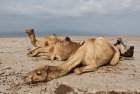 ethiopie.danakil.afar.sel.21